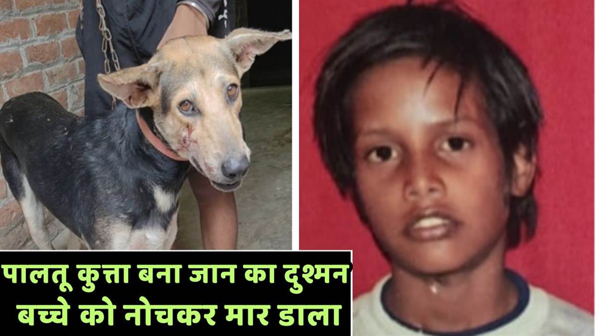 https://www.jagranimages.com/images/newimg/29082025/29_08_2025-etawah_dog_bite_24029558.jpg