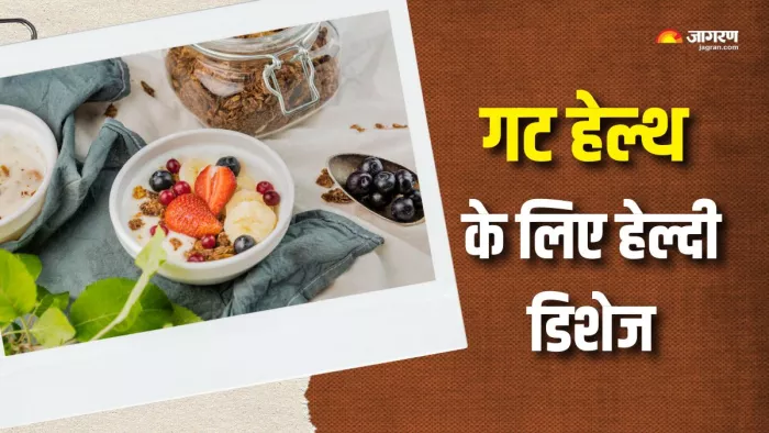 गट हेल्थ के लिए फायदेमंद हैं ये डिशेज (Picture Courtesy: Freepik)