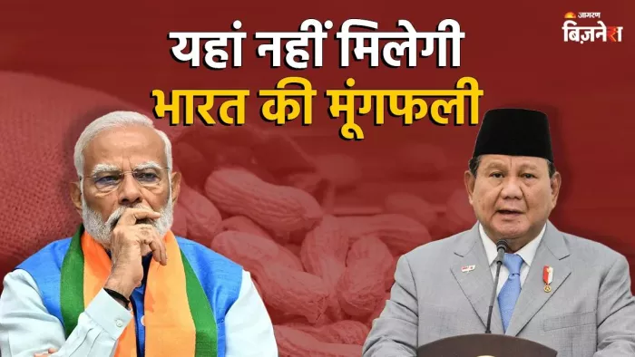 ट्रंप टैरिफ के बीच इस देश ने भारत को दिया झटका, मूंगफली के आयात पर लगा दी रोक