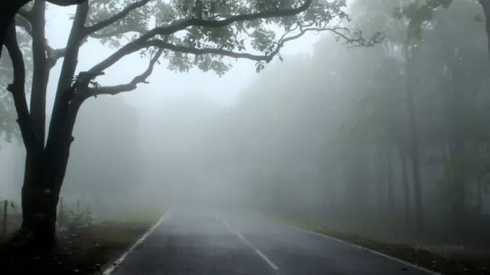 अंबिकापुर से लगभग 55 किलोमीटर दूर स्थित है हिल स्टेशन (फोटो: जेएनएन)