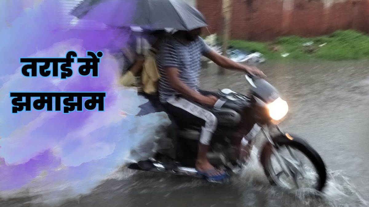 https://www.jagranimages.com/images/newimg/29082025/29_08_2025-pilibhit_weather_update_24028810.jpg