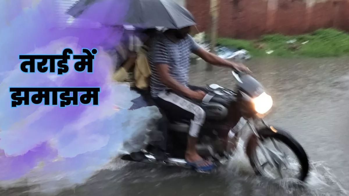 Pilibhit Weather Update:  तराई में झमाझम बारिश से पांच डिग्री गिरा तापमान, कई क्षेत्रों में बत्ती गुल