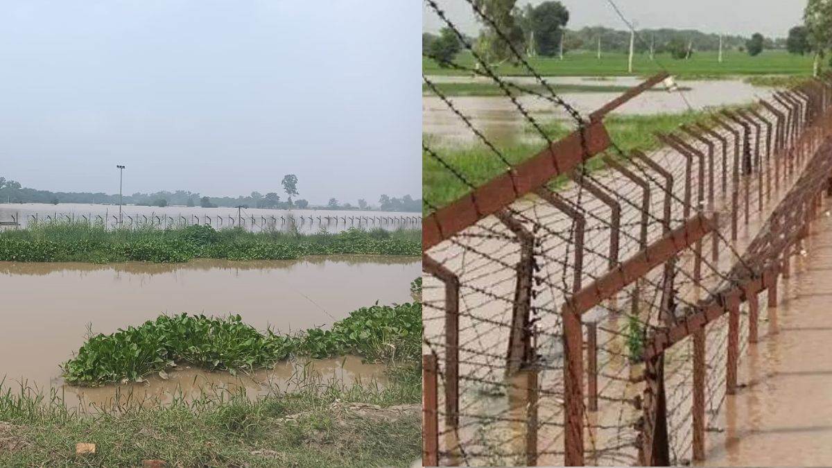 https://www.jagranimages.com/images/newimg/29082025/29_08_2025-punjab_9_24029270.jpg
