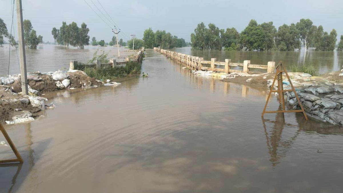 https://www.jagranimages.com/images/newimg/29082025/29_08_2025-punjab_flood_2_24028759.jpg