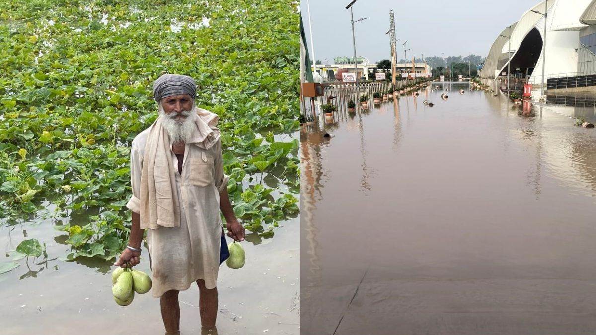 https://www.jagranimages.com/images/newimg/29082025/29_08_2025-punjab_flood_4_24028777.jpg