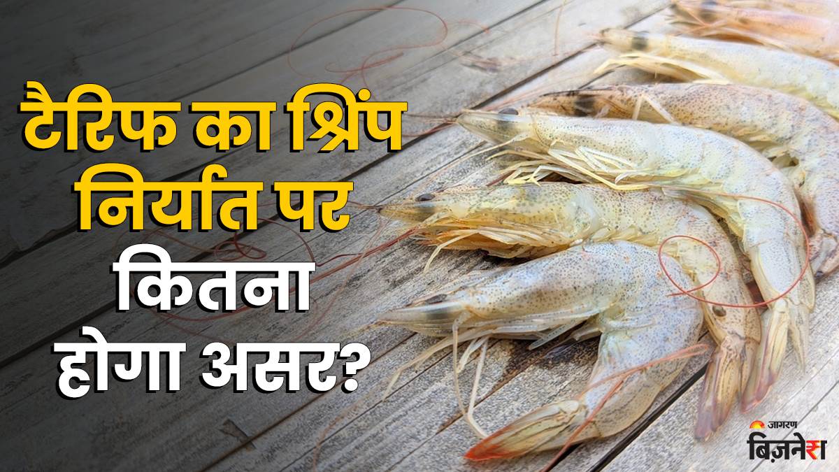 https://www.jagranimages.com/images/newimg/29082025/29_08_2025-shrimp-export_24029132.jpg