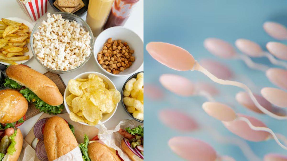 https://www.jagranimages.com/images/newimg/29082025/29_08_2025-ultra_processed_foods_and_sperm_count_24029059.jpg