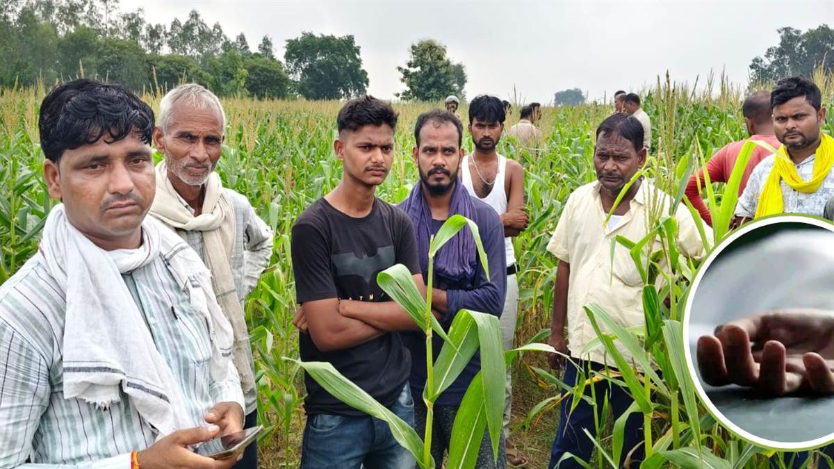 https://www.jagranimages.com/images/newimg/29082025/29_08_2025-unnao_suicide_news_24028945.jpg