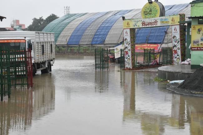 News Article Hero Image