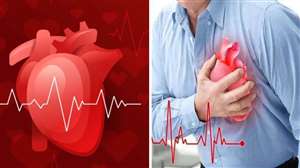 World Heart Day 2022: हृदय रोगों के बारे में सही जानकारी होना बेहद जरूरी। (सांकेतिक चित्र)