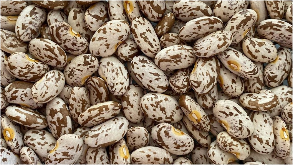 Uric Acid Level यूरिक एसिड के स्तर को फौरन कम करने का काम करते हैं ये