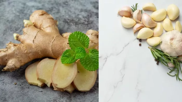 Foods For Sinus Relief: साइनस इन्फेक्शन को कम करने में मददगार हैं ये फूड्स