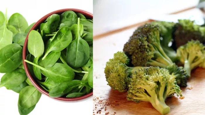 Foods For Lung Health: फेफड़ों को स्वस्थ रखने के लिए खाएं ये फूड्स