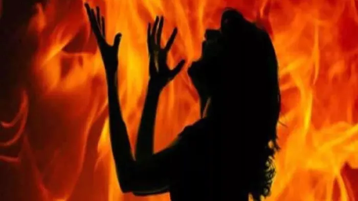 पुगांव चितौड़ा के चौकीदार सत्तार ने मामले में रिपोर्ट दर्ज कराई है।