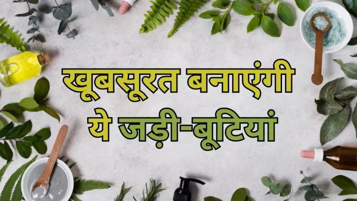 त्वचा निखारेंगी ये 5 जड़ी-बूटियां, आप भी लगाएं इनके पौधे