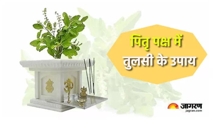 Pitru Paksha ke upay पितृ पक्ष में करें तुलसी का उपाय ये उपाय।