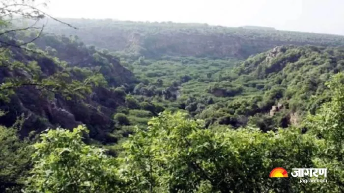 उत्तराखंड में विकास योजनाओं को हर साल मिल रही 1904 हेक्टेयर वन भूमि