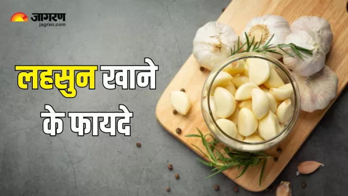 रोज लहसुन खाने से मिलेंगे अनेक फायदे (Picture Courtesy: Freepik)