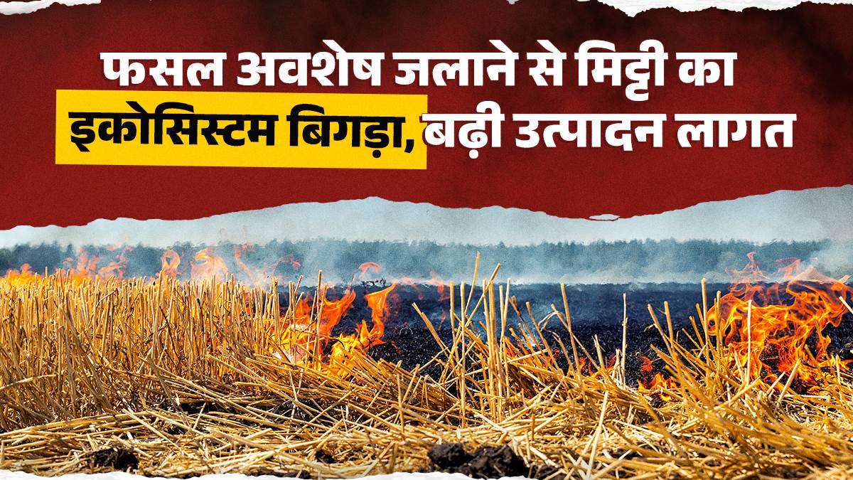 ncr stubble burning resumed farmers burning crop residue for profit and soil fertility at risk jprime