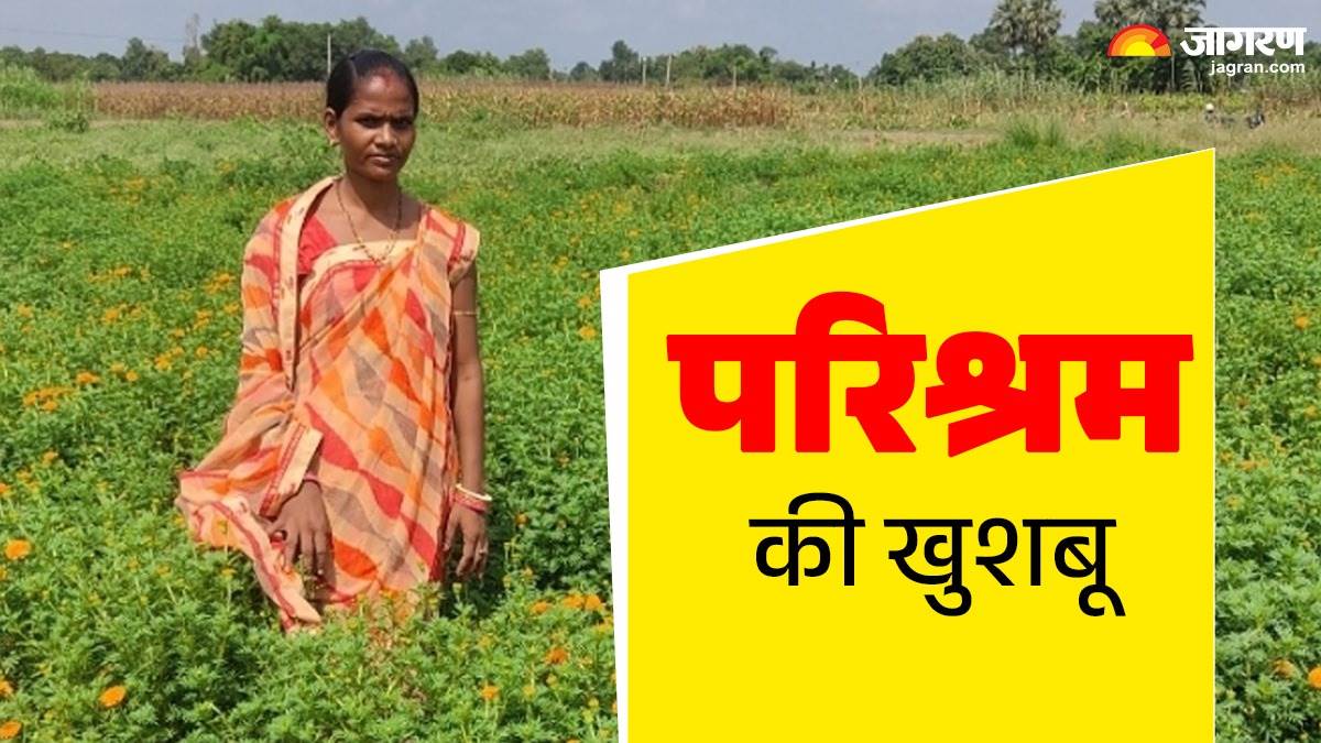 jagdars daughter vibha has achieved wonders with just one bigha of land earning lakhs of rupees from marigold cultivation