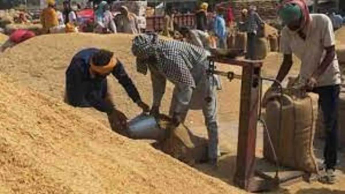 good news for farmers in haryanathere will be no discrepancies in the weight of crops in the mandis