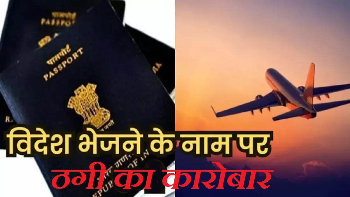 the dream of going abroad and being duped of millions mohali zirakpur and derabassi have become hotspots for fake immigration companies