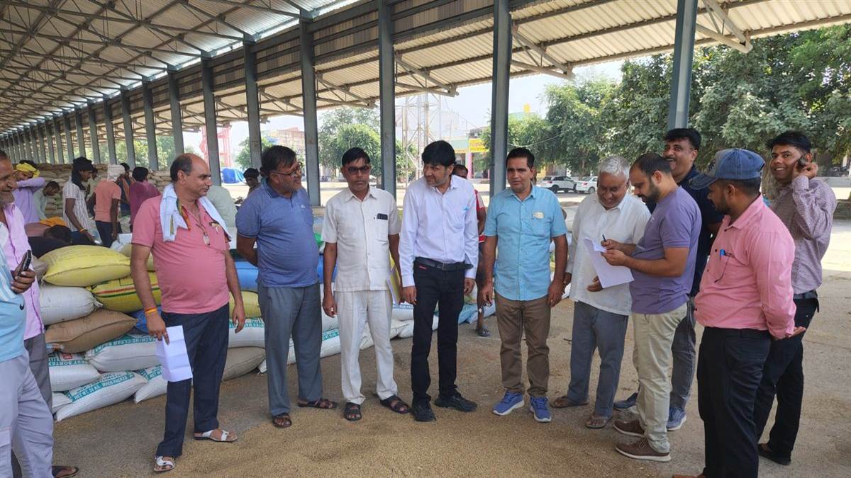 ncr mahendragarh news farmers angered as bajra rejected in government procurement