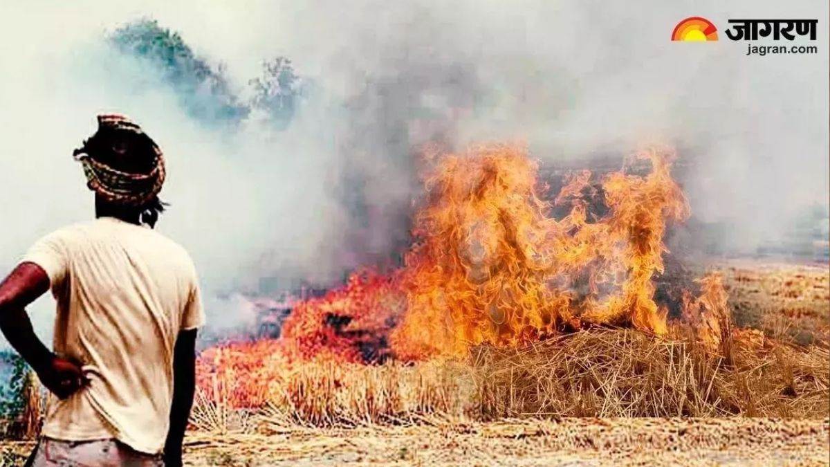 5000 fine and fir strict action will be taken against stubble burning farmers will be made aware