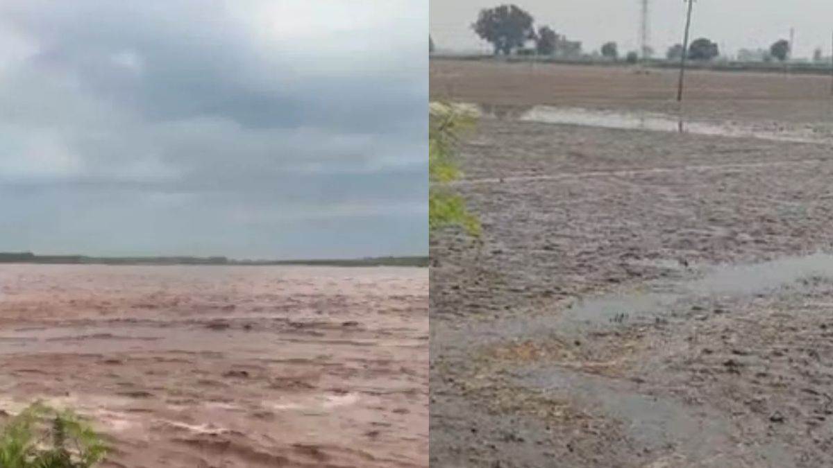 ravi has returned leaving behind devastation what is the scene like after the flood waters have receded in punjab