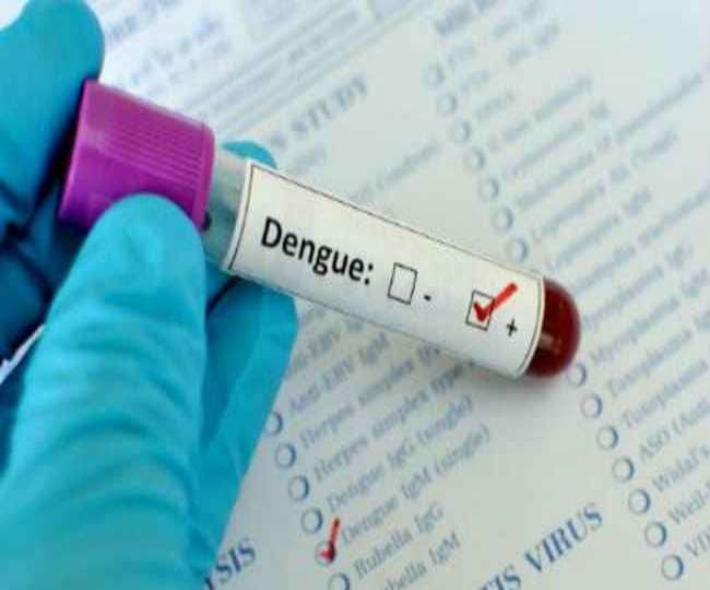 those with symptoms of dengue may be in danger with negligence know symptoms and prevention