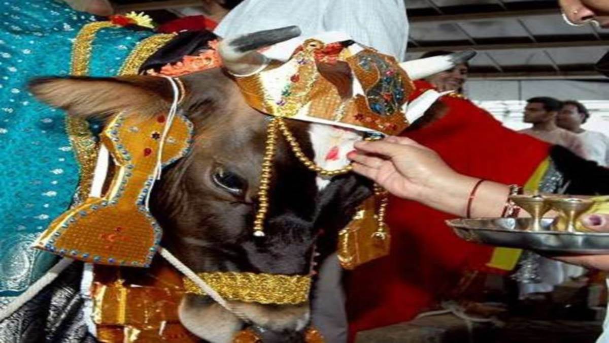 gopashtami festival on this day lord indra had asked for forgiveness from shri krishna