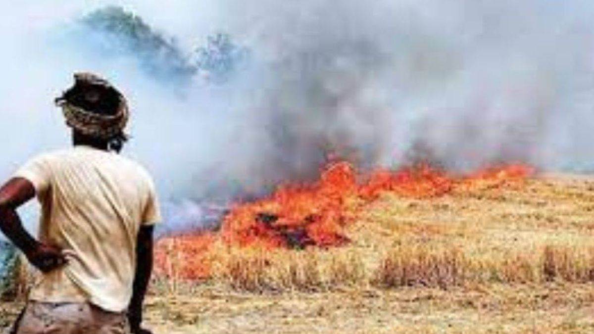 stubble burning cases increasing continuously chandigarh news