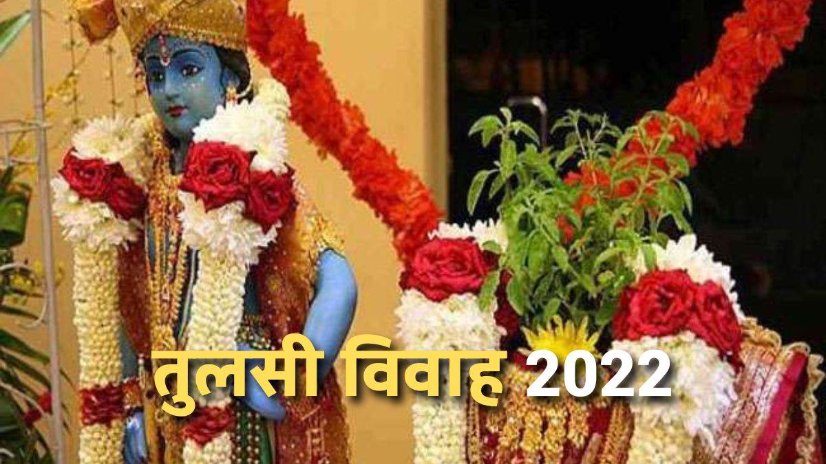 Tulsi Vivah 2022 Upay तुलसी विवाह आज दाम्पत्य ...