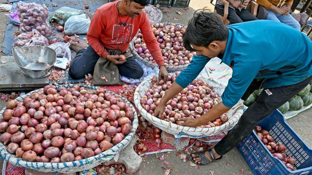 Onion Price Today अब 60 या 70 नहीं, महज 25 रुपए किलो मिलेगी प्याज