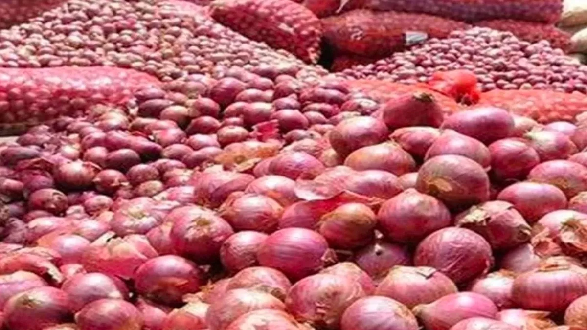 Onion Price in Patna: पटना में यहां मिलेगा 25 रुपये किलो प्याज, घर-घर भी  पहुंचेगी पिकअप वैन - Cheap onion Price in patna Sell by biscomaun bhawan  Patna Mein Sasta Pyaj kahan