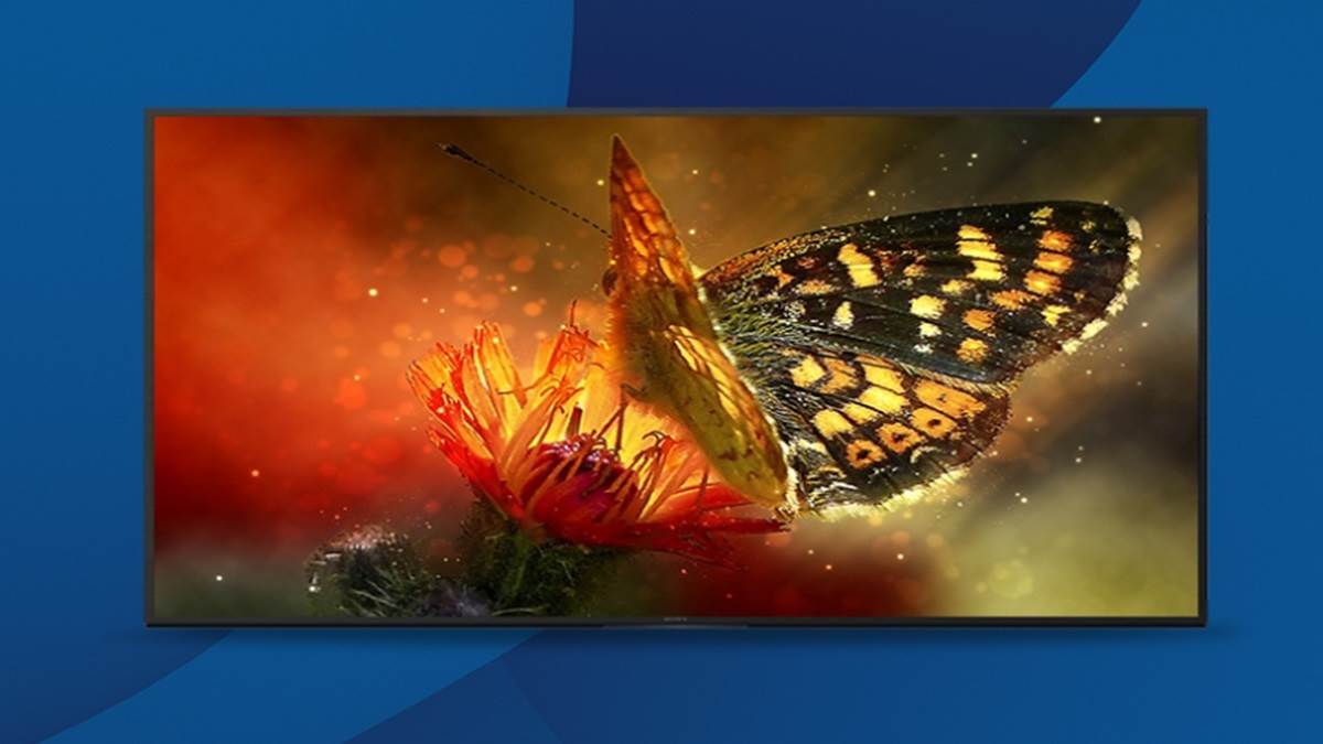https://www.jagranimages.com/images/newimg/29102024/29_10_2024-best_sony_smart_tv_in_india2_23823715.jpg