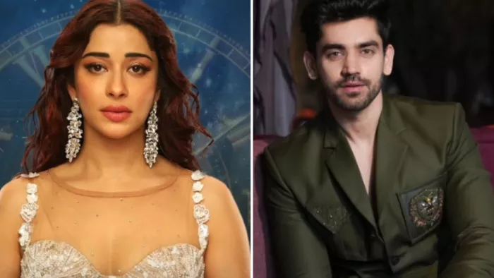 बिग बॉस 18 से निकलने के बाद नायरा बनर्जी का खुलासा/ फोटो- Instagram