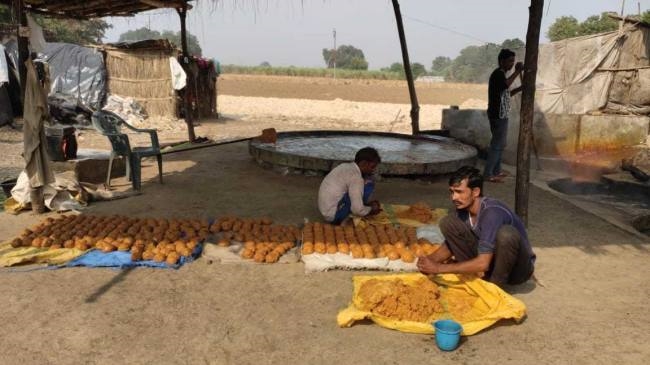 sugarcane farmers need government chr39 s help