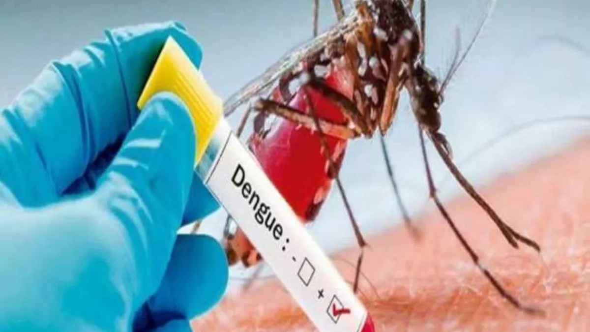मुजफ्फरपुर जिले में डेंगू के 18 और मरीज मिले, कुल 72 इलाजरत