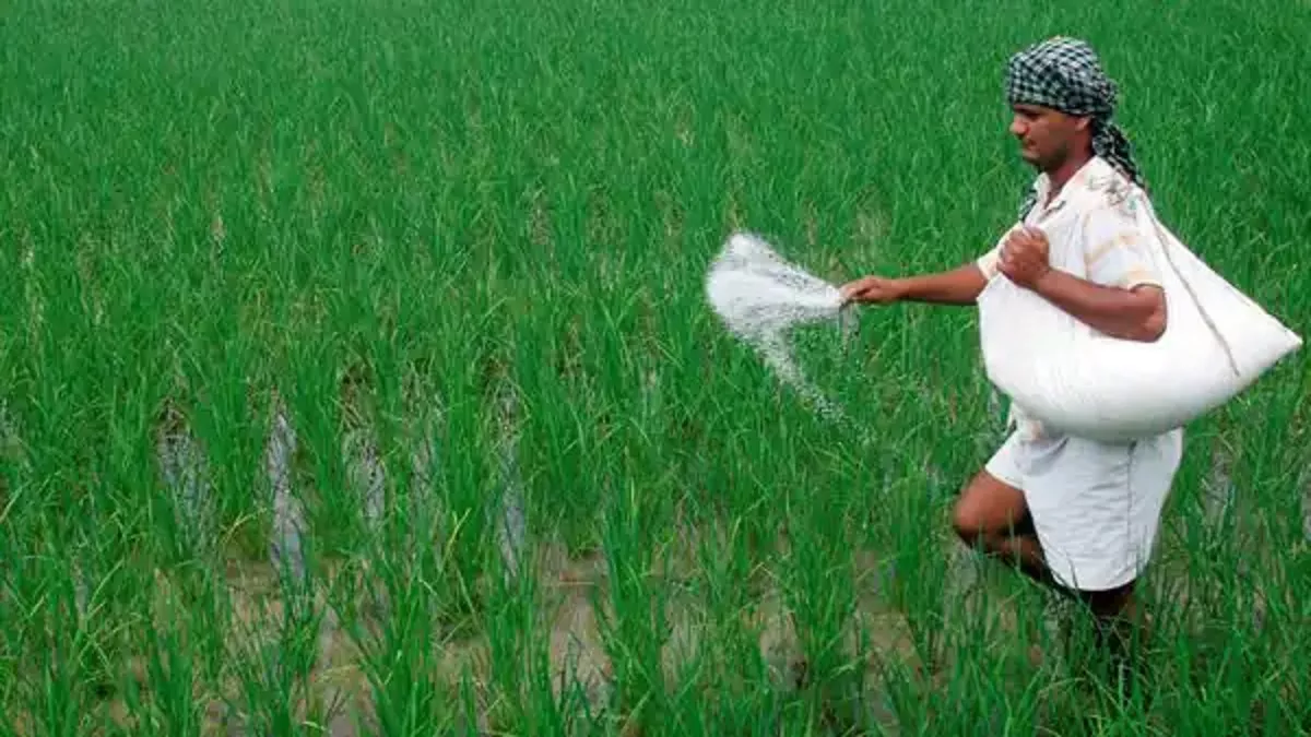 Agriculture In UP: डीएपी की मांग बढ़ने से क‍िसान परेशान
