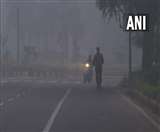Delhi Air Pollution: कर्मचारियों के बीच राष्ट्रीय स्वच्छ वायु कार्यक्रम (एनसीएपी) और सिटी एक्शन प्लान सामान्य शब्दावली नहीं हैं।