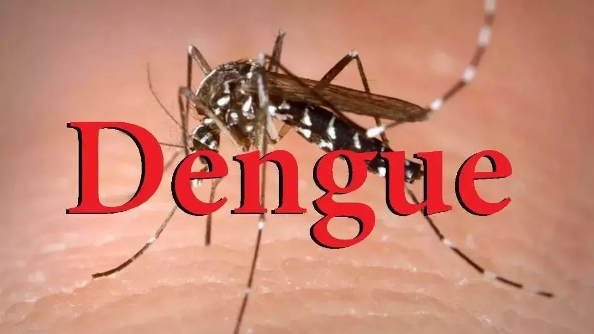 Moradabad में कम नहीं हो रहा Dengue का प्रकोप, नए सात मरीज मिलने के साथ जनपद में हो गए 539 मरीज