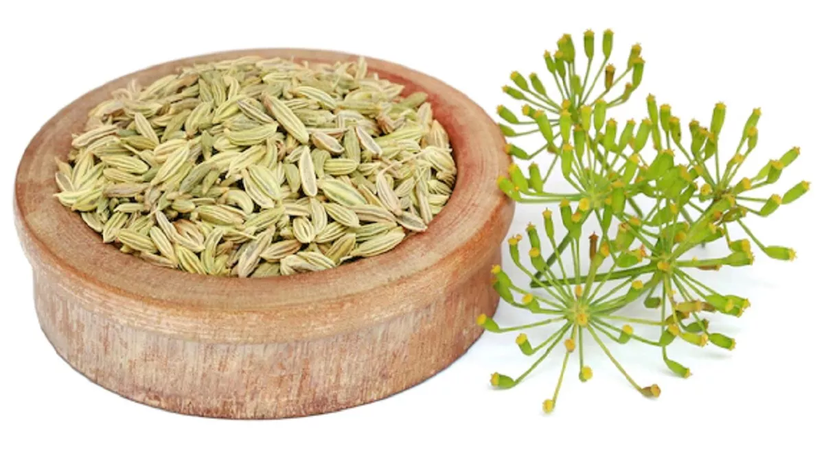 Benefits of Fennel Seeds: सौंफ खाने के ये गजब के फायदे जानकर आप हो जाएंगे हैरान