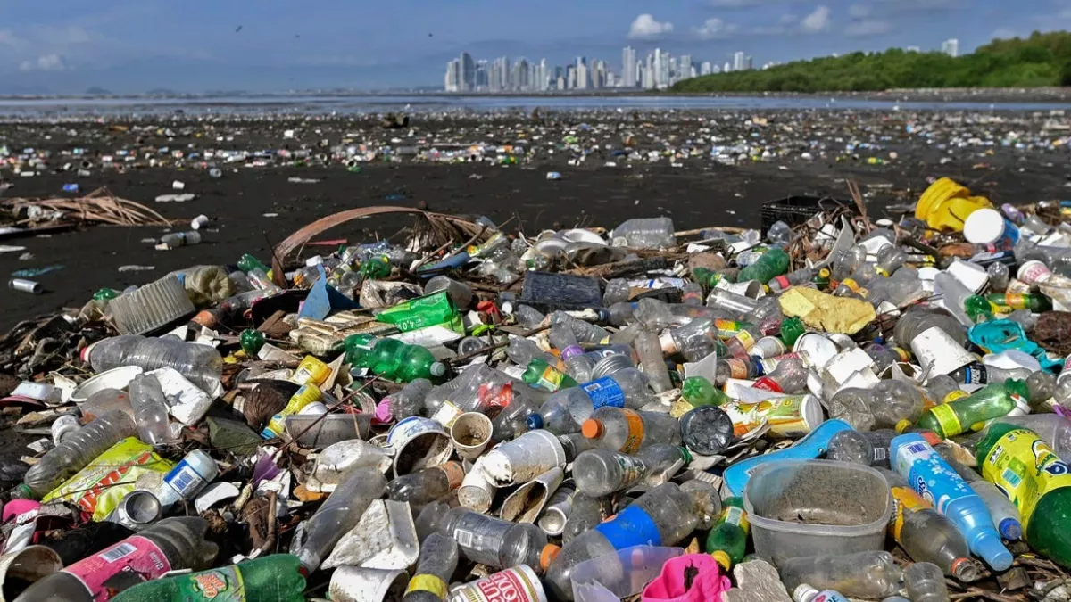 प्लास्टिक प्रदूषण उसके 'डीएनए' से किया जा सकता है नियंत्रित, बन चुका है विश्वव्यापी समस्या