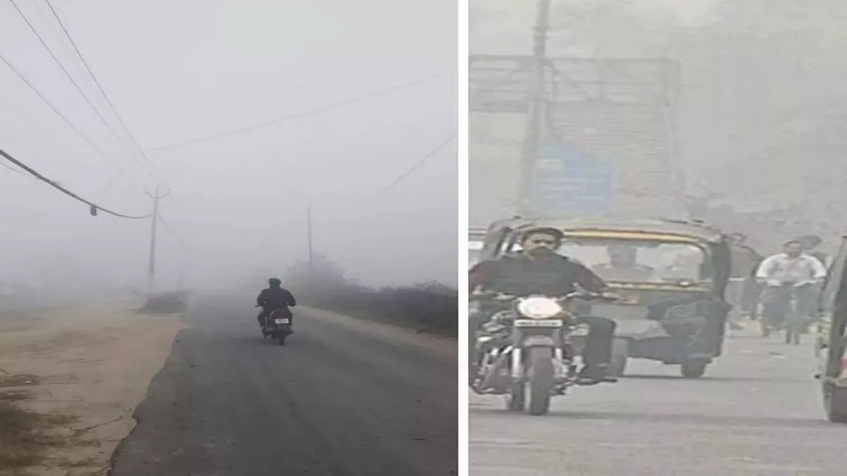 Punjab Weather Update: पंजाब में कड़ाके की ठंड, जालंधर में न्यूनतम तापमान 5.6 डिग्री पर आया