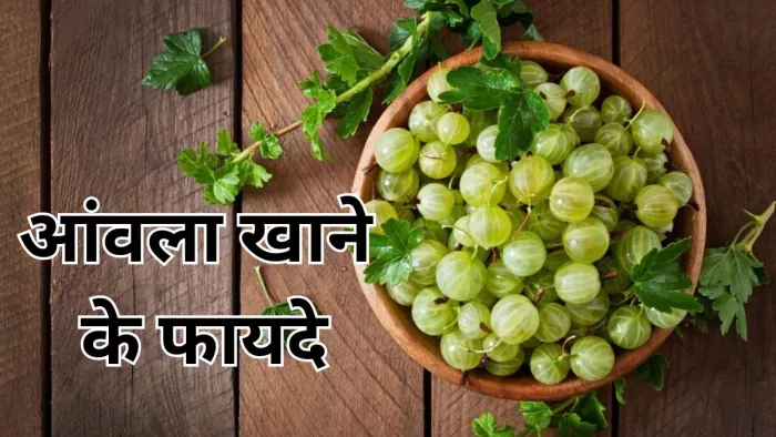 सर्दियों में आंवला खाने से मिलते हैं ये 5 फायदे