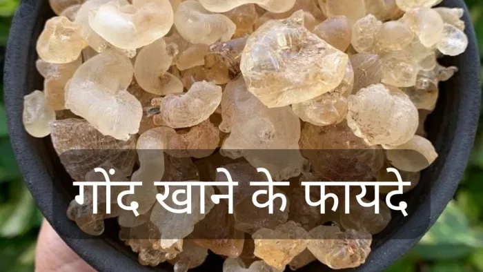सर्दियों में गोंद खाने के 5 फायदे