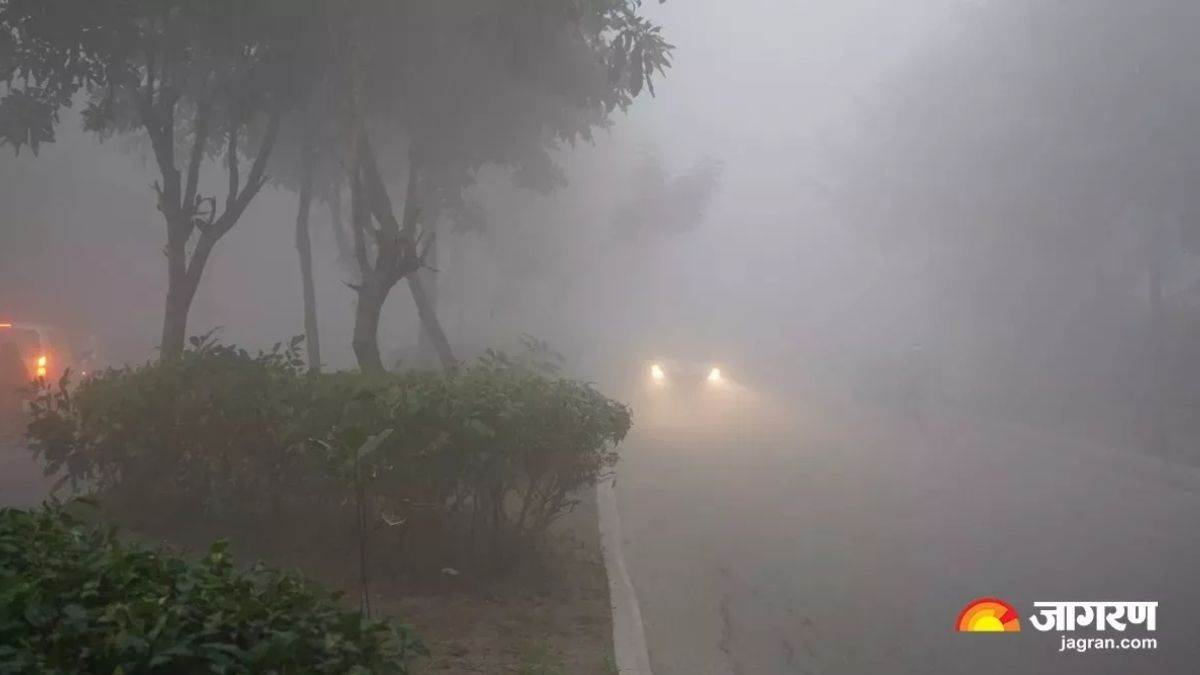 https://www.jagranimages.com/images/newimg/29112024/29_11_2024-punjab_smog_23839049.jpg
