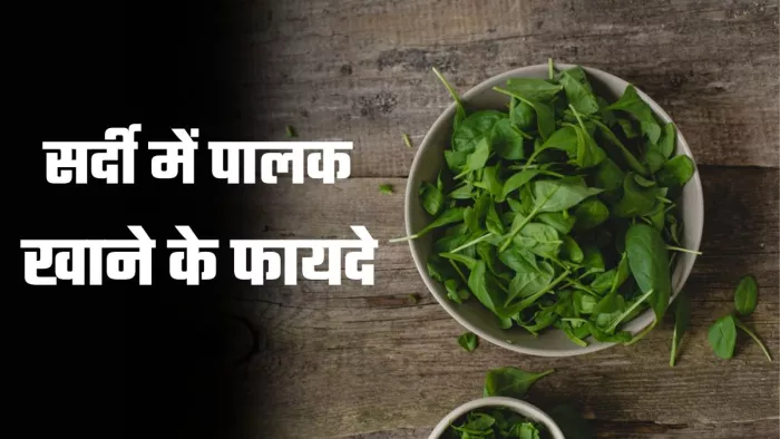 सर्दी में पालक खाने से मजबूत रहती है इम्युनिटी। (Image credit- freepik)