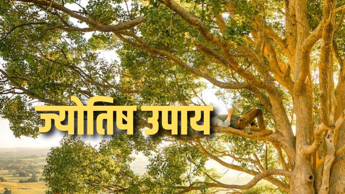 वृक्षासन करने का सही तरीका, इसके फायदे और सावधानियां | Tree pose or  Vrikshasana: its process, benefits and precautions in hindi